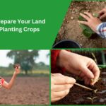 Planting