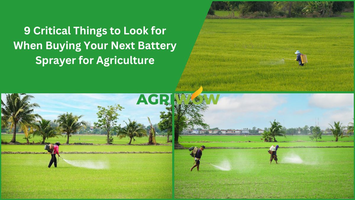 Battery Sprayer for Agriculture
