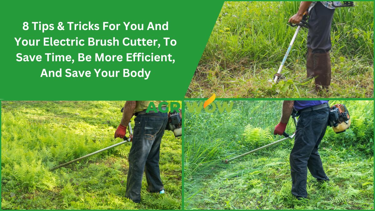 Electric Brush Cutter