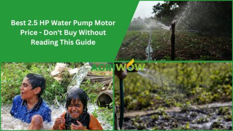 Water Pump Motor Price