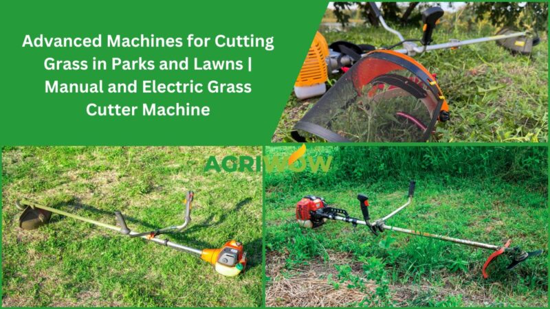 Advanced Machines for Cutting Grass in Parks and Lawns | Manual and ...