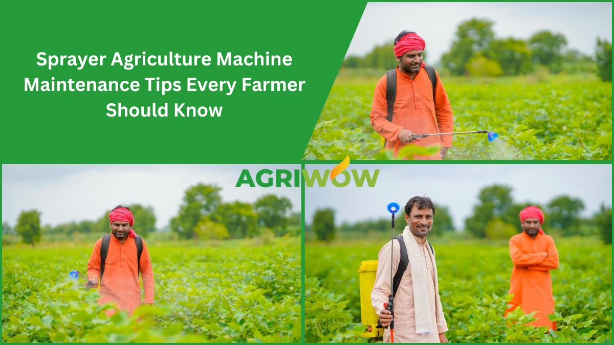 Sprayer Agriculture Machine
