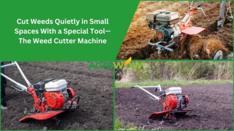 Weed Cutter Machine