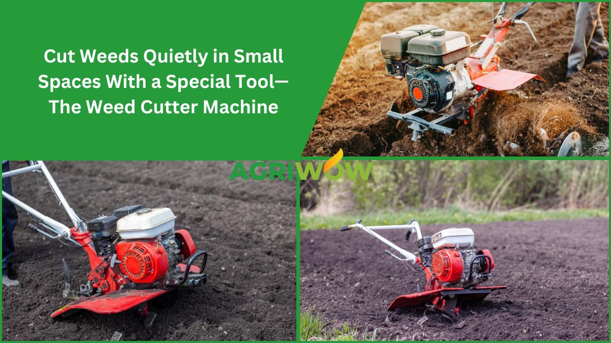Weed Cutter Machine