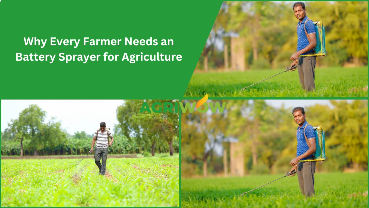 Battery Sprayer for Agriculture