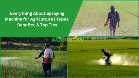 Spraying Machine for Agriculture