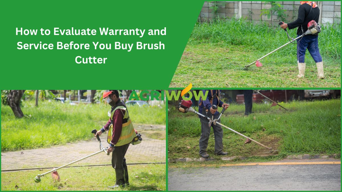 Buy Brush Cutter