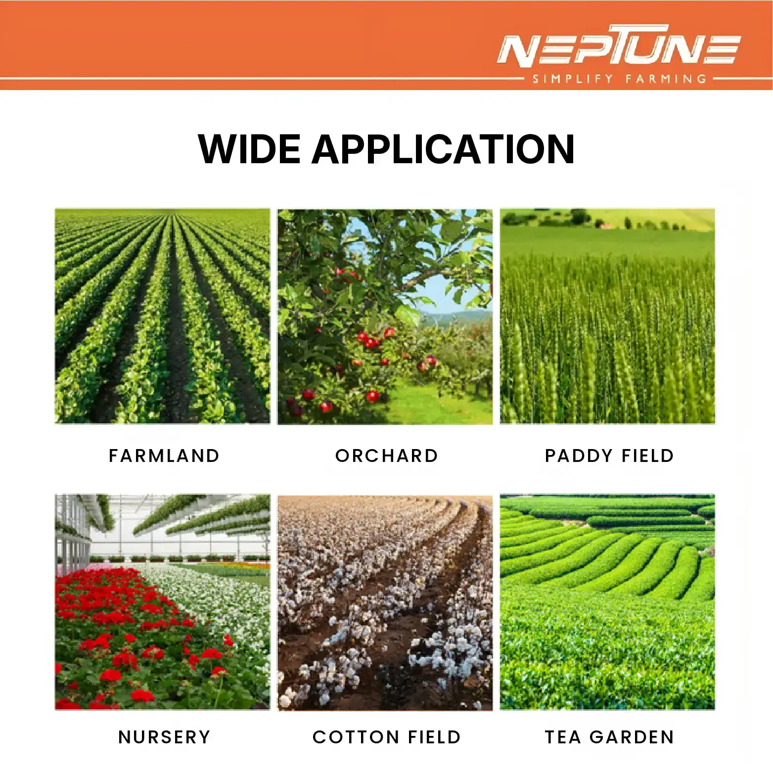 Copy of Your paragraph text (1)-4_11zon