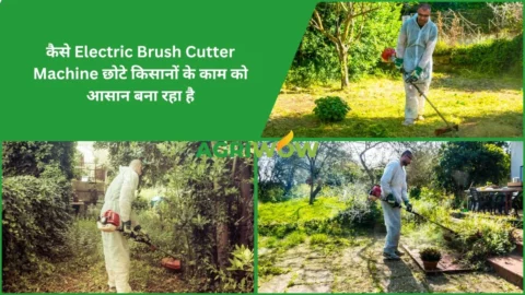 Electric Brush Cutter Machine