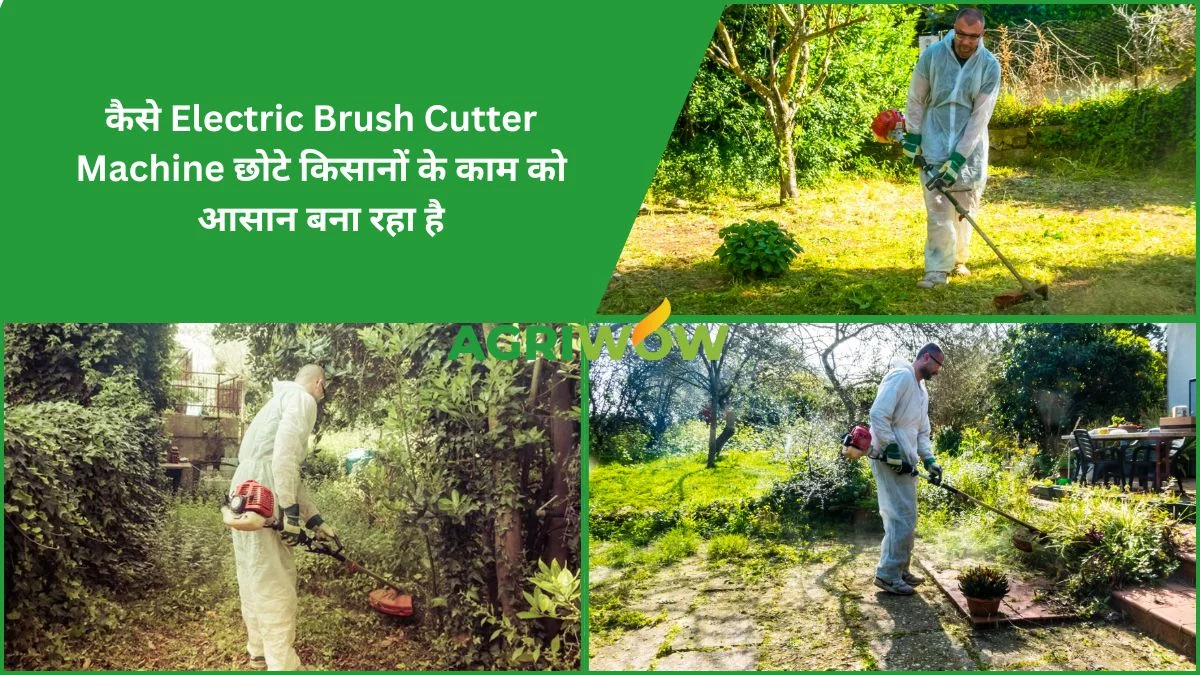Electric Brush Cutter Machine