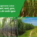 Manual Sugarcane Juice Machine