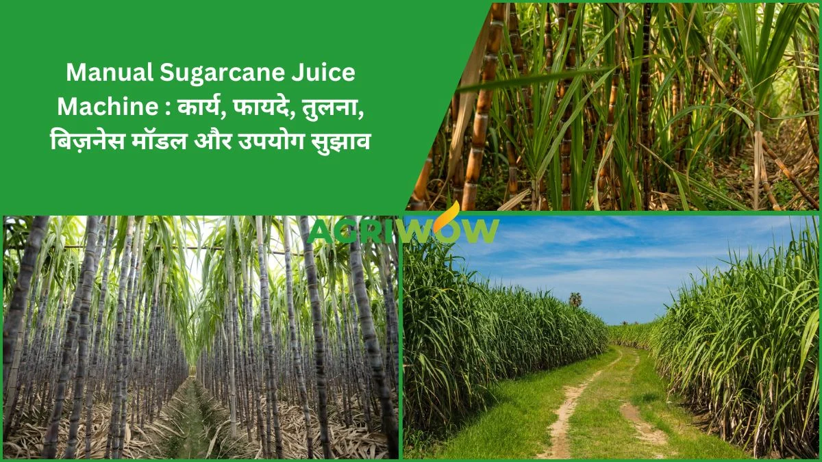 Manual Sugarcane Juice Machine