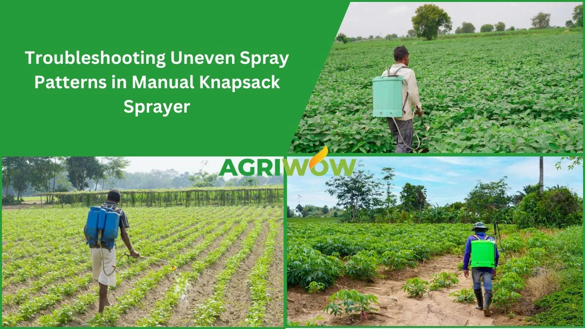 Manual Knapsack Sprayers