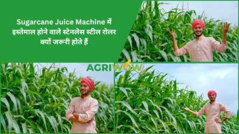 Sugarcane Juice Machine