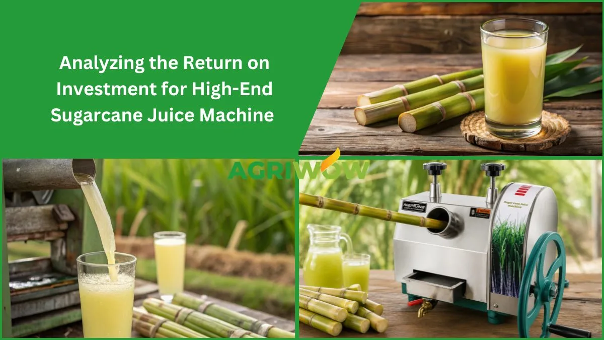 Sugarcane Juice Machine