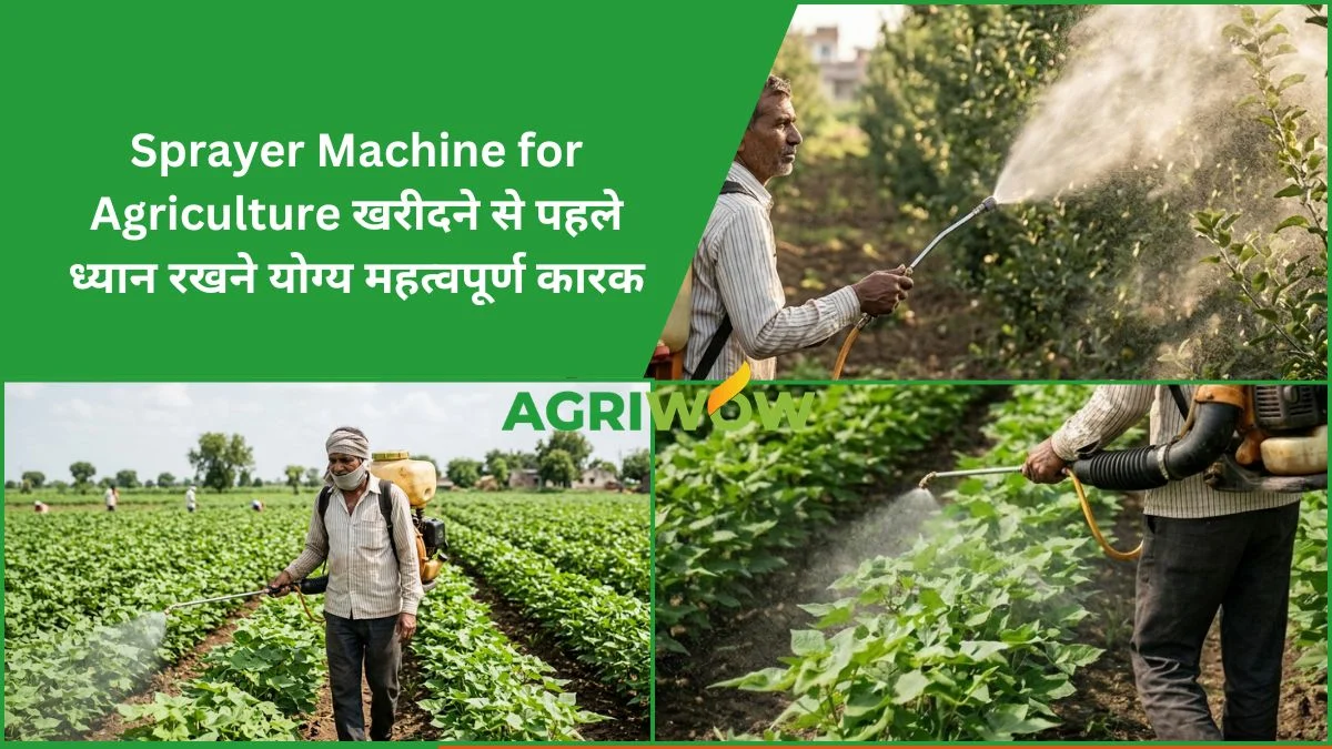 Sprayer Machine for Agriculture