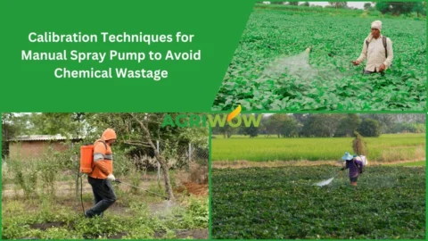 Manual Spray Pump