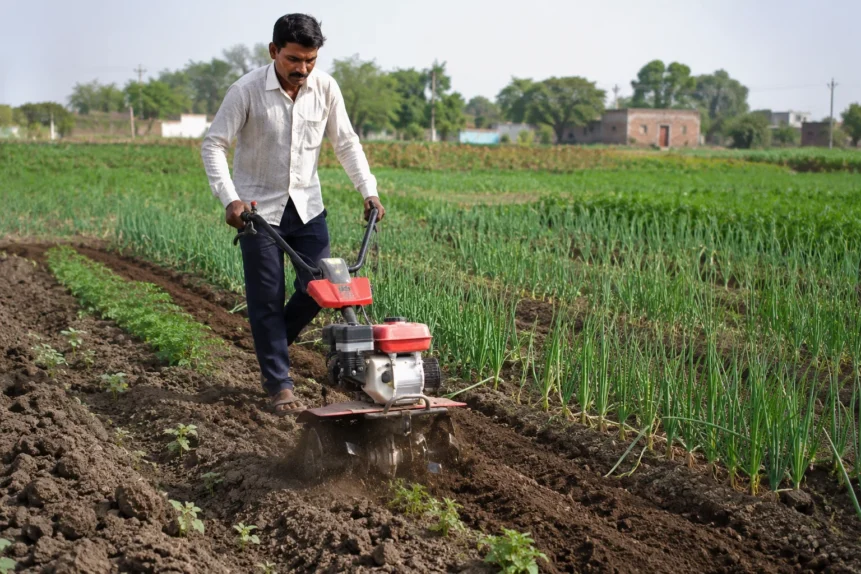 Mini Power Weeder