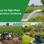 Water Pump for Agriculture