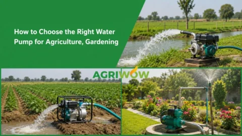 Water Pump for Agriculture